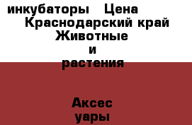 инкубаторы › Цена ­ 2 900 - Краснодарский край Животные и растения » Аксесcуары и товары для животных   . Краснодарский край